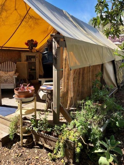La Boheme Living 호텔 로스앤젤레스 외부 사진